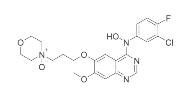 Gefitinib Hydroxylamine Impurity
